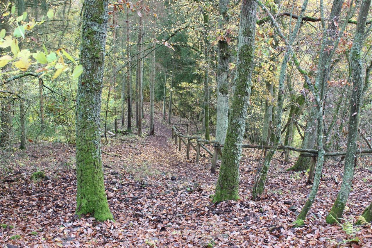Fewogriebelschied Exterior foto
